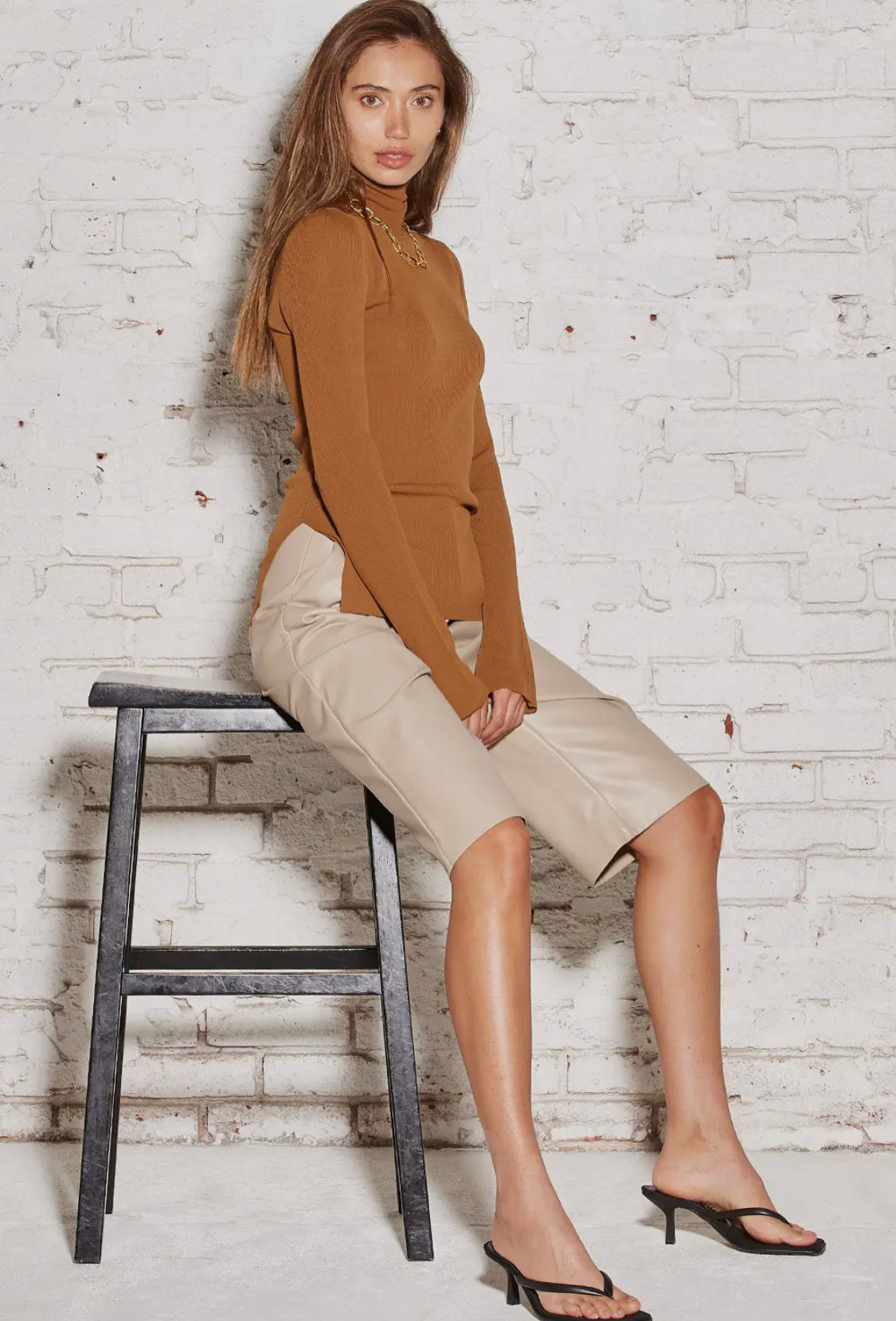 Alina Turtleneck Top